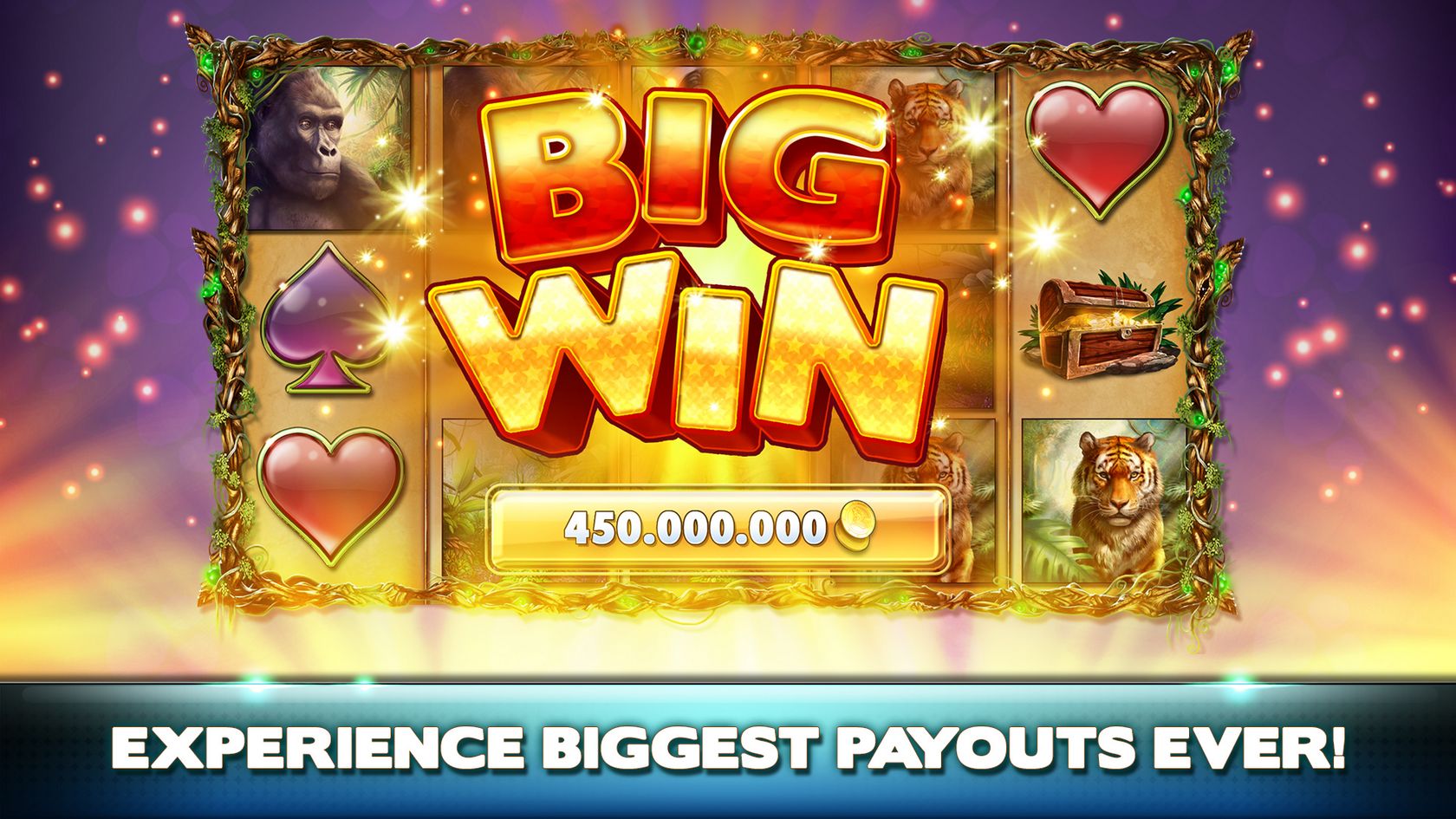 Entire Review bigwins.com Entire Review bigwins.com