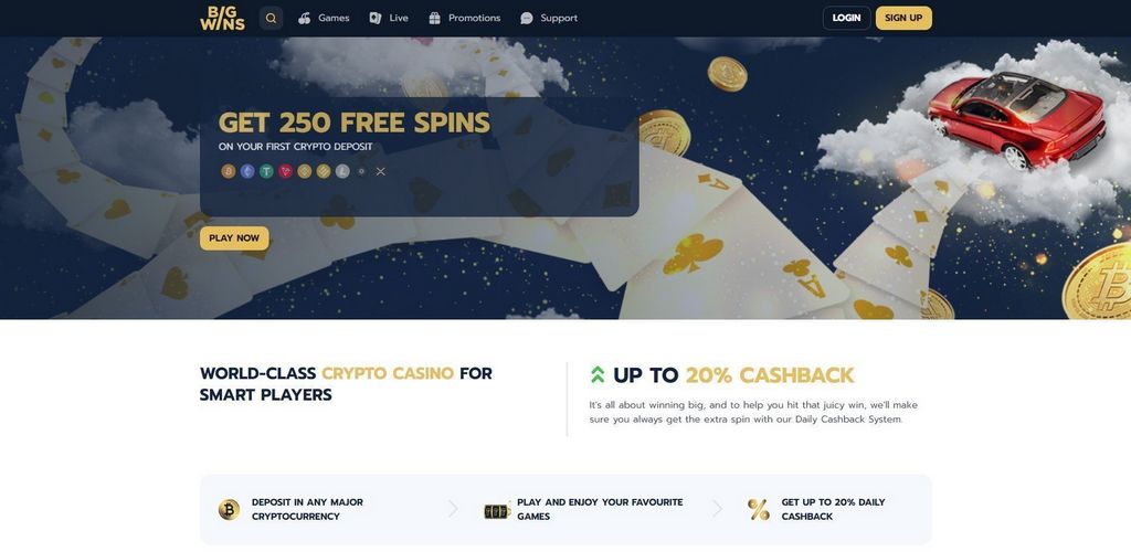 Online Casino Site Perks - VIP Program for High Rollers Online Casino Site Perks - VIP Program for High Rollers